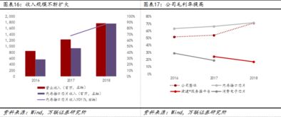 瀾起科技 內存接口芯片設計公司 電子行業科創板系列報告之二