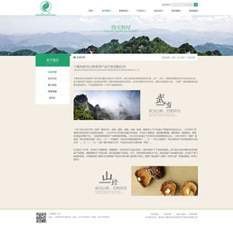 打造武當山珍品牌形象——深圳網站設計與網頁設計的關鍵策略